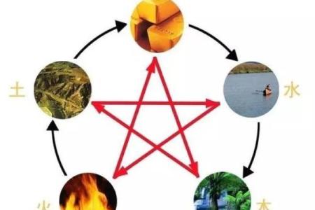 揭开五行属木与炉中火命的神秘面纱