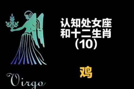 揭秘最聪明命最好属相：智者与命运的交织