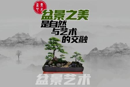 适合土命人的盆景选择指南：让生活与自然和谐共生