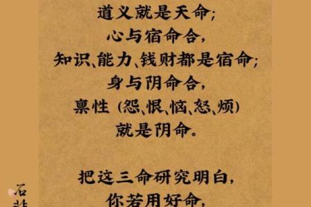 揭开三元命绝命气场之谜，寻觅命理生活的智慧