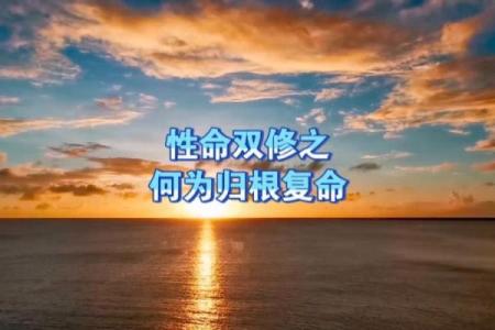 关于命理，探索什么命与什么命之间的信任与关联