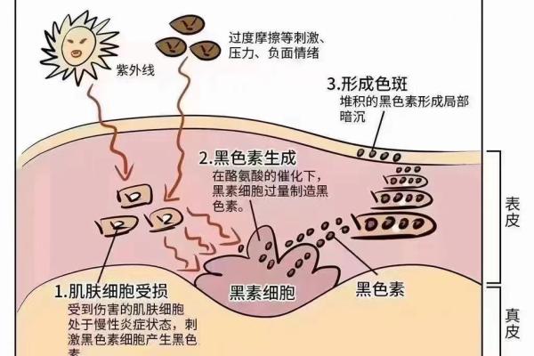 女命眼中有黑斑的命运解析与应对之策
