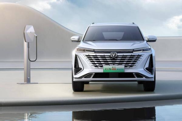 属虎火命人适合哪些颜色的汽车？一探究竟！