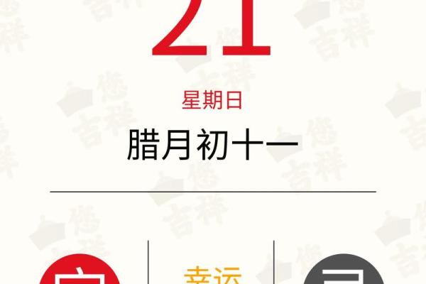 农历十一月出生的人命运解析：神秘与个性的结合