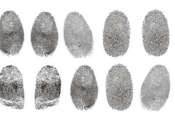 十指螺纹的神秘寓意与命运的深刻联系 十指螺纹的神秘寓意与命运的深刻联系