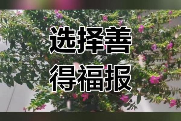 命好与命不好：人生的转折与选择的力量