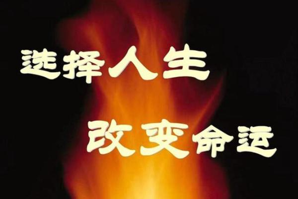 命好与命不好：人生的转折与选择的力量