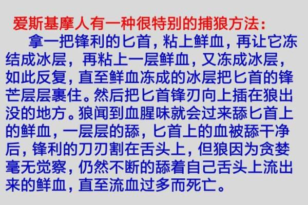 命运的安排：关于聚少离多的深刻剖析与反思