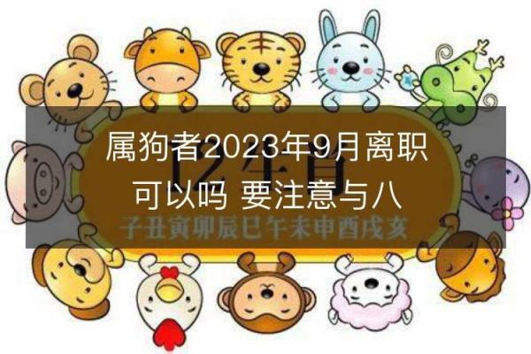 属狗命好时机：掌握命运的钥匙，找到最佳生活道路！