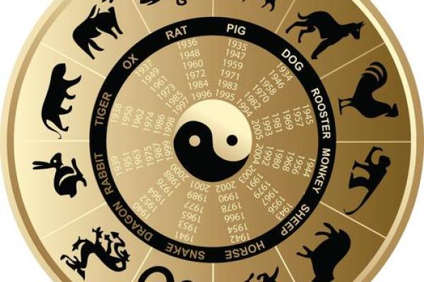 男属猪53岁：星座与命运的交织之旅