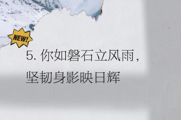 命运如书，书写人生的每一页