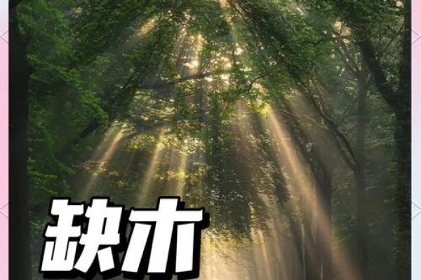 缺水缺木,如何理解命理中的五行属性与人生道路? 缺水缺木,如何理解命理中的五行属性与人生道路?