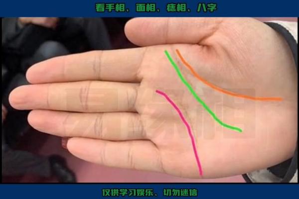 手背的肉与命运：从细节看人生的幸福与否