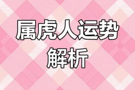 属虎人的农历三月命运解析：把握机会，迎接辉煌人生！