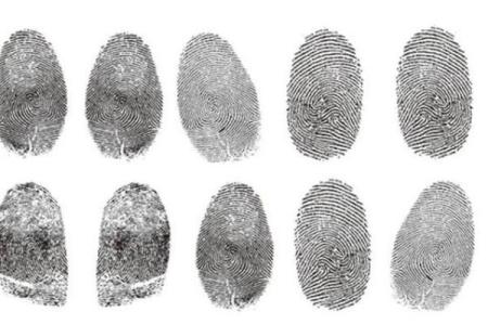 十指螺纹的神秘寓意与命运的深刻联系