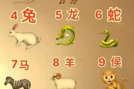 三庚命理中的生肖解析：解读生肖与命理的奥秘