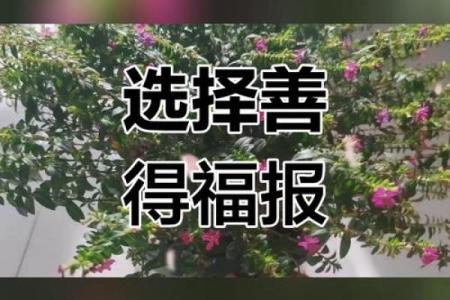 命好与命不好：人生的转折与选择的力量