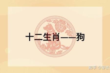 属狗大海水命与什么命最佳配对分析