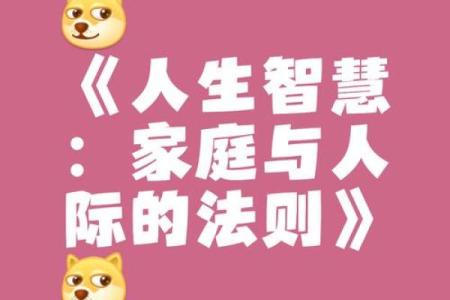 逆向命轨：冷山带你探索人生秘密与心灵成长