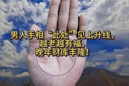 手背的肉与命运：从细节看人生的幸福与否