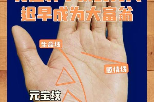 属马寅月出生的命运解析：揭秘其性格与人生道路