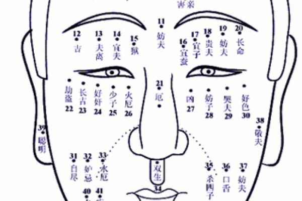 解析男人面相：哪些特征暗示凶险的命运？