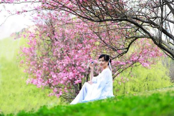 七仙女老五命理探秘：她的命运与其自由灵魂的契合