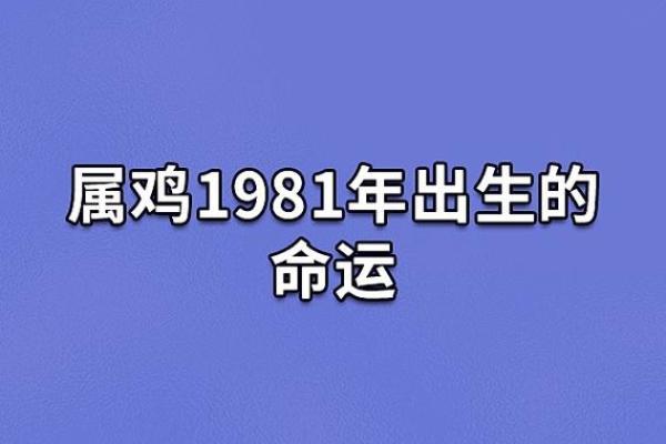 1981年属鸡的命运分析：与勤奋和智慧同行的一生