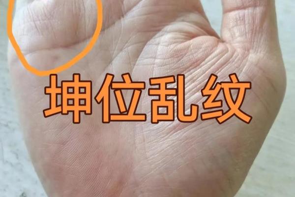 手心手纹揭示的命运秘密:为何多纹路代表不顺? 手心手纹揭示的命运秘密:为何多纹路代表不顺?