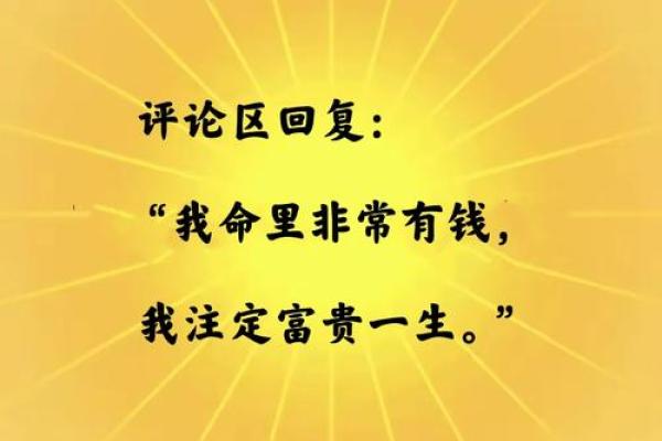 钱就是命，命就是自由：探寻生命的真正价值
