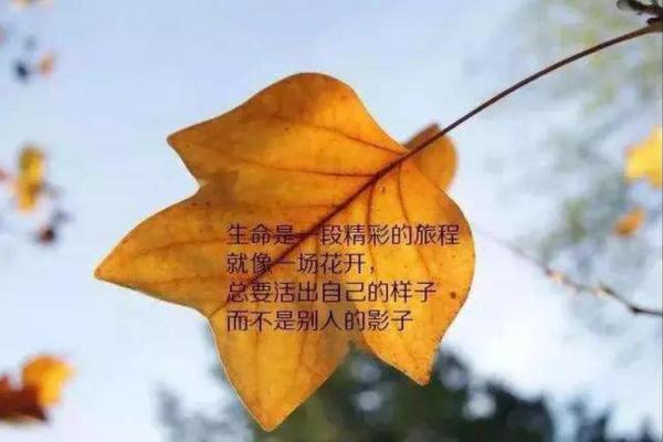 1931年出生的人命运揭秘:谦和与坚韧的生命旅程 1931年出生的人命运揭秘:谦和与坚韧的生命旅程