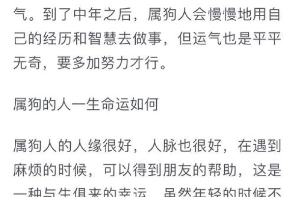 十二生肖之狗:揭示属狗人的命运与性格特征 十二生肖之狗:揭示属狗人的命运与性格特征