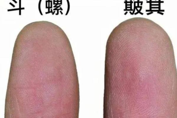手指上的10个螺代表着什么命?深度解析与指尖命运的神秘关系 手指上的10个螺代表着什么命?深度解析与指尖命运的神秘关系