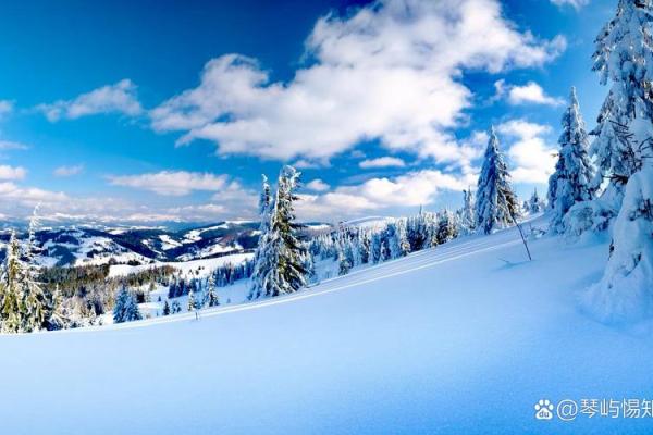 生于冬季的命运:寒冷季节赋予的独特能量与性格魅力 生于冬季的命运:寒冷季节赋予的独特能量与性格魅力