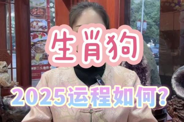 属狗一月份出生的命理分析：性格与运势剖析