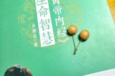 男命五两命解析：揭示命运与人生的奥秘