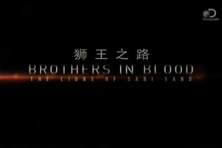 女命劫财解析：命理中的缘分与挑战之路