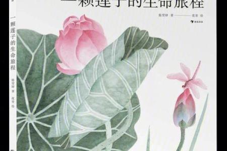 1931年出生的人命运揭秘：谦和与坚韧的生命旅程