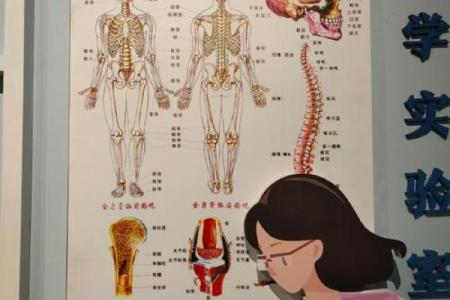 人多长两块骨头是什么命：探索人与骨骼之间的奇妙关系
