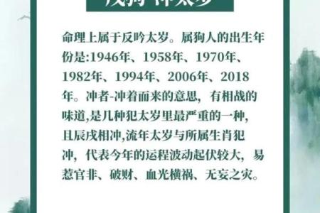 十二生肖之狗：揭示属狗人的命运与性格特征