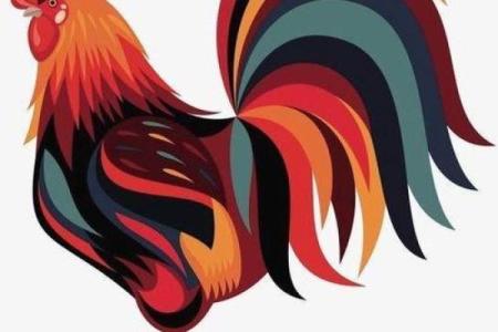 53岁属鸡人的命运解析：步入新阶段的机遇与挑战