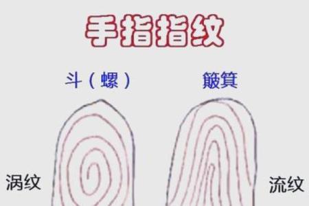 手指上的10个螺代表着什么命？深度解析与指尖命运的神秘关系