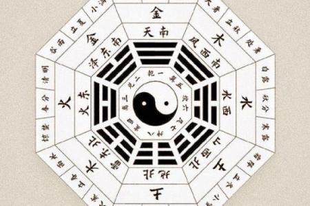 当八字女命日支坐官墓，如何解读命运的深意？