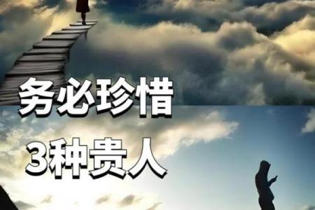 钱与命：探讨生命的真谛与金钱的价值