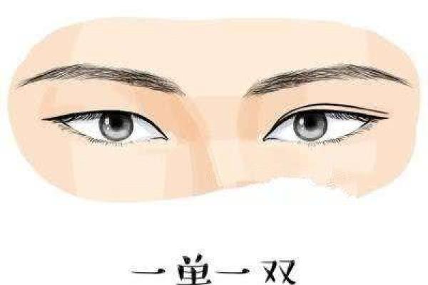 男生龙凤眼：命运与性格的神秘契约