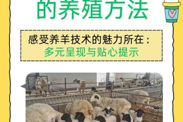 属鸡的羊吃草,命理解析与生活启示 属鸡的羊吃草,命理解析与生活启示