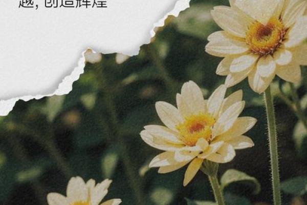 什么样的命运是正命？探索正命男的内心世界与人生轨迹