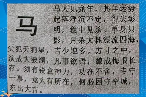 属狗的马烈如日中，命运旅途中如何乘风破浪？