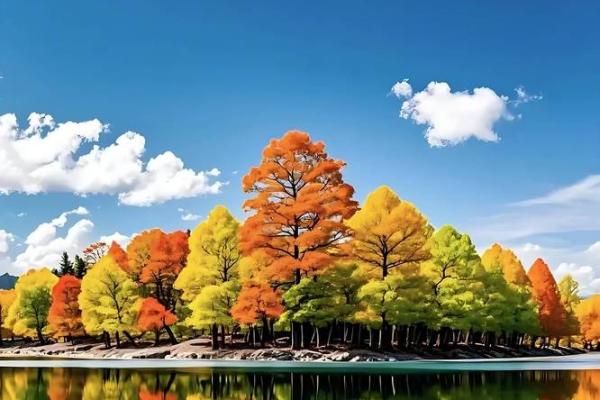 属虎男孩戌年出生的命运解析与人生发展 属虎男孩戌年出生的命运解析与人生发展