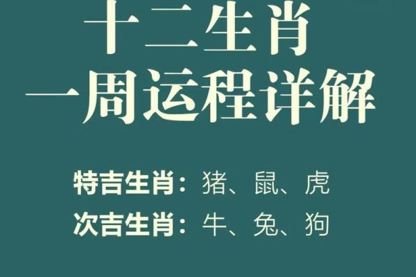 解码十二生肖：你命里的秘密与未来的指引